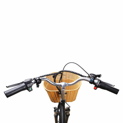 Image of NAKTO Camel Men 36V/10Ah 250W City Electric Bike - Electrik-Bikes